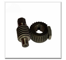 SM52 Worm and Gear
