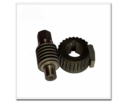SM52 Worm and Gear