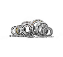 Needle bearing for BOBST