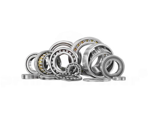 Needle bearing for BOBST