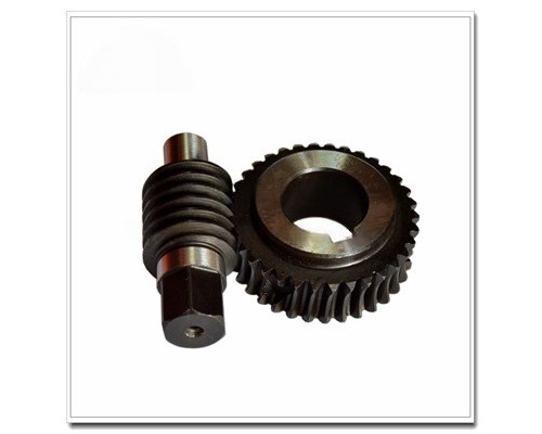 SM102 Worm and Gear