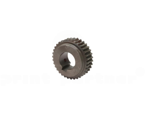 Worm gear cpl. for Heidelberg