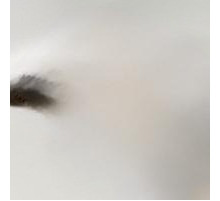 MULLER MARTINI A660.0434