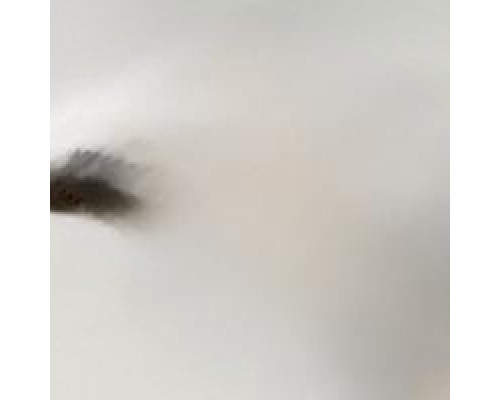 MULLER MARTINI A660.0434