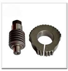 Worm and Gear