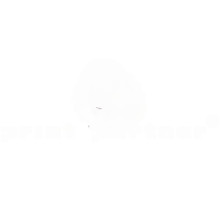 Brush wheel for KBA (with bearing)