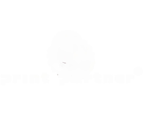 Brush wheel for KBA (with bearing)