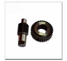 SM 102 Worm and Gear