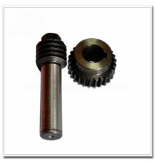 SM 74 Worm and Gear