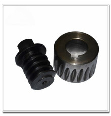 3F Worm and Gear