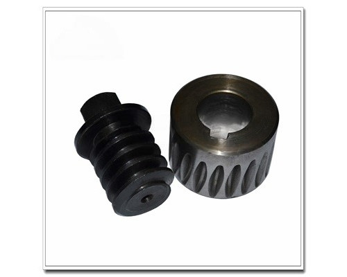 3F Worm and Gear